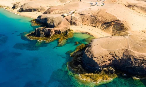 Modern Boutique House